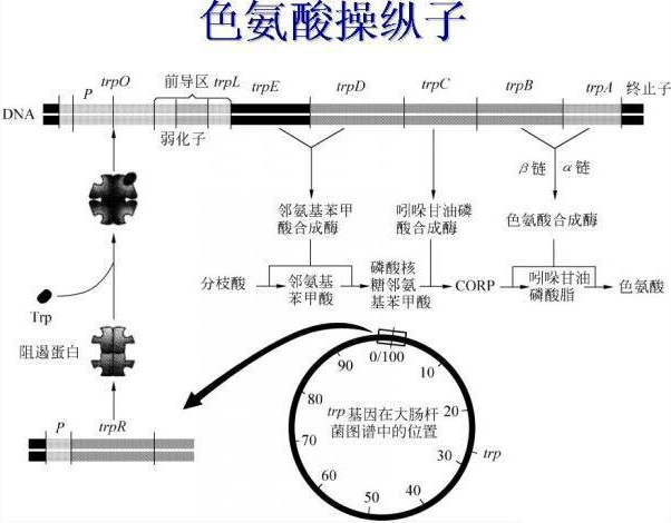 百科资源 快懂百科