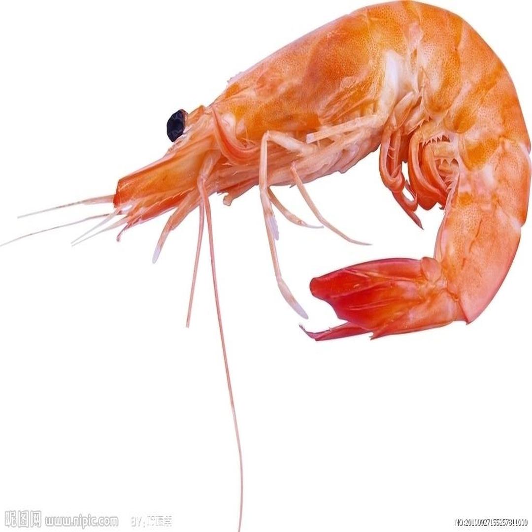 土虾与土虾美味 土虾与土虾美味