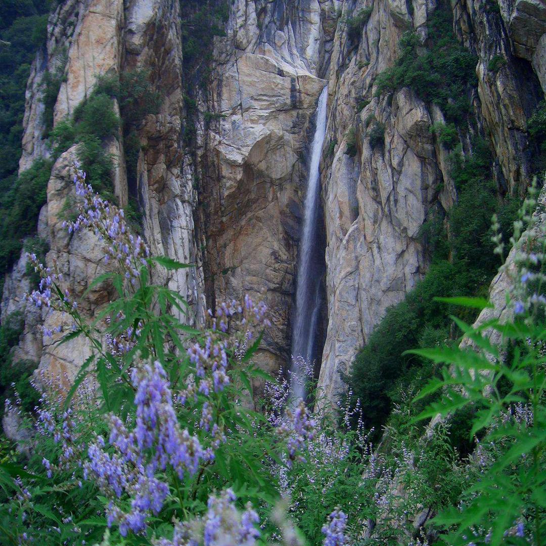 八关山 八关山