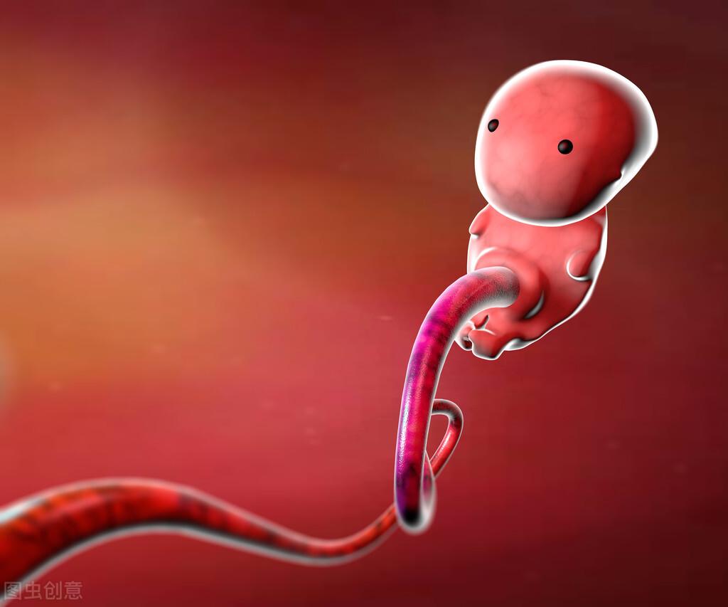 怀孕11周胎儿什么样子,神奇的生命是这样形成的 