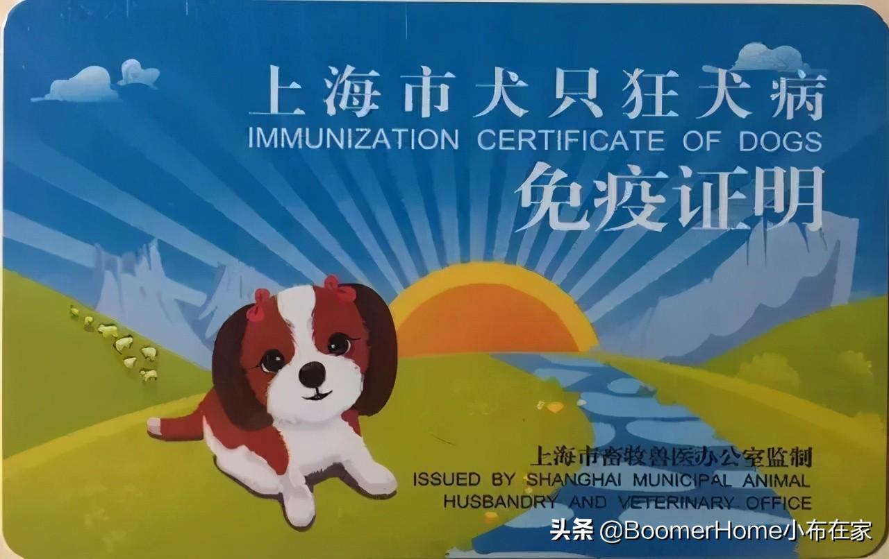 养狗市民请注意！犬只免疫证明、犬只准养证这样办理 - 攀枝花网