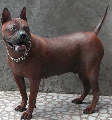 中国十大本土名犬排名