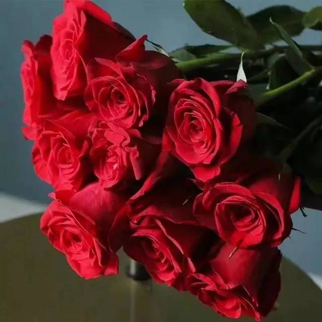 大桃红玫瑰,更多新品惊艳出世 - 法桐网