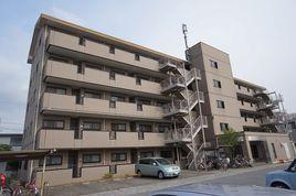 秀明大学 快懂百科