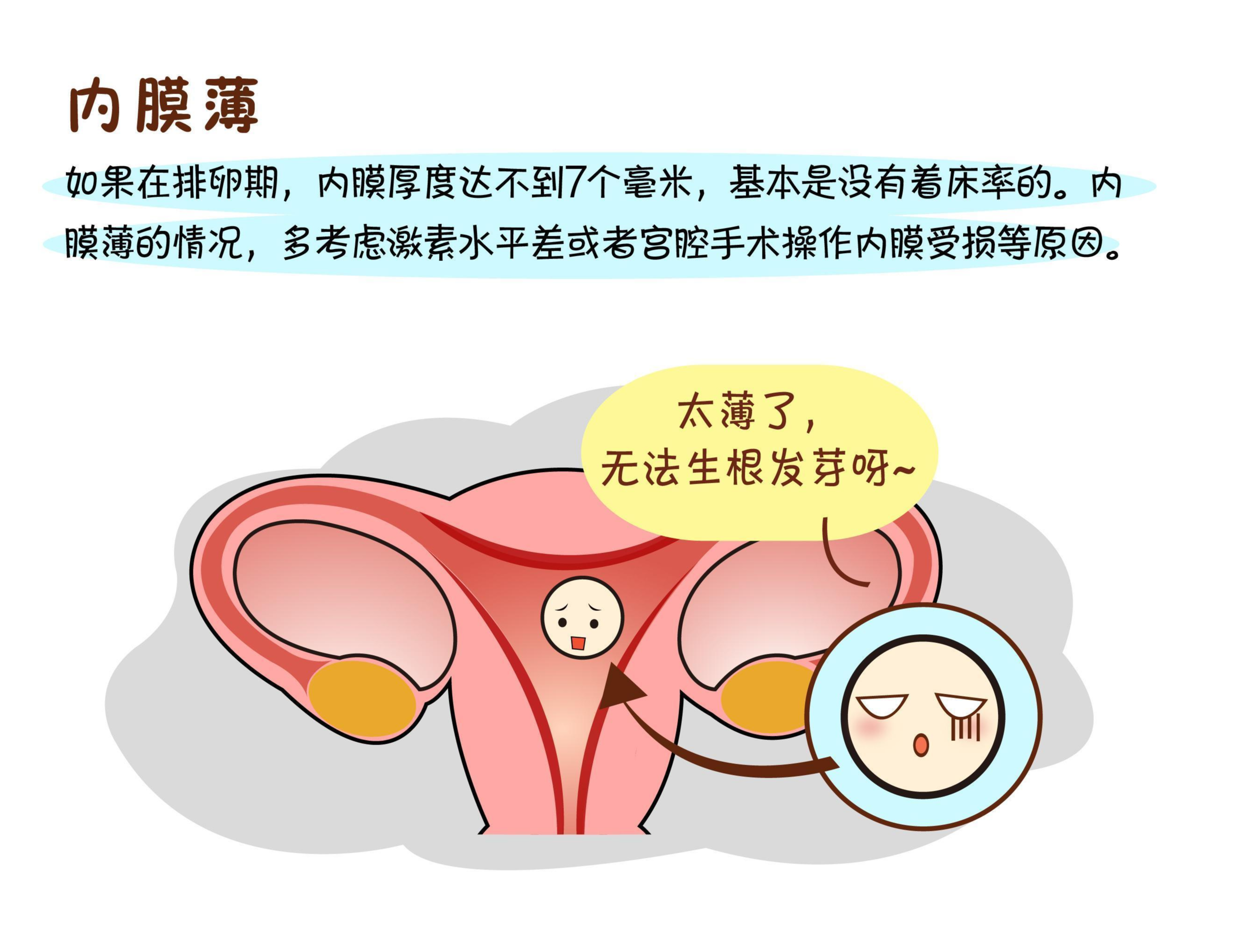 子宫内膜薄