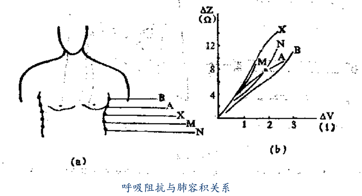 呼吸频率 快懂百科