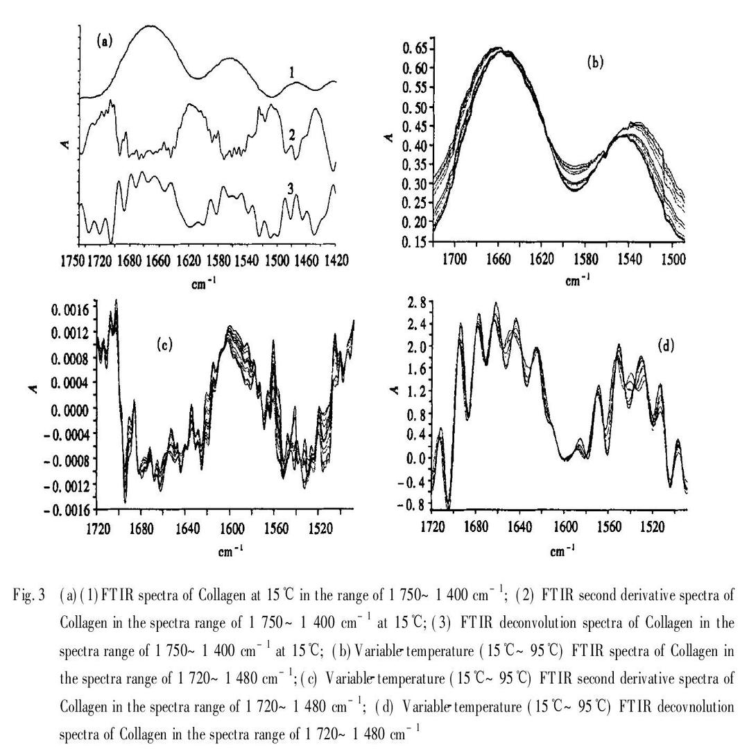 胶原蛋白红外光谱