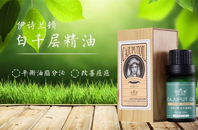 白千层精油 快懂百科