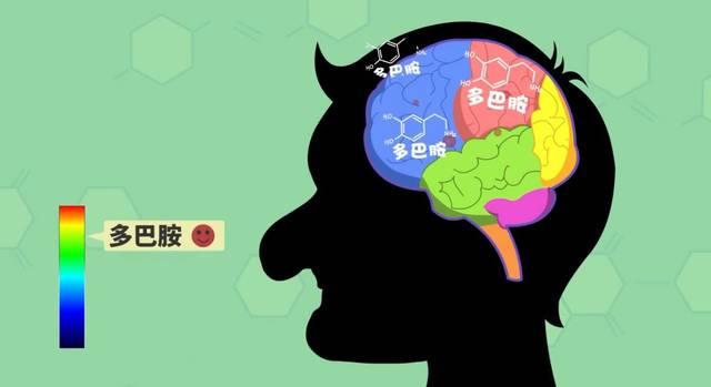 多巴胺 - 快懂百科