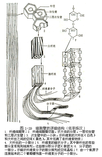 简介