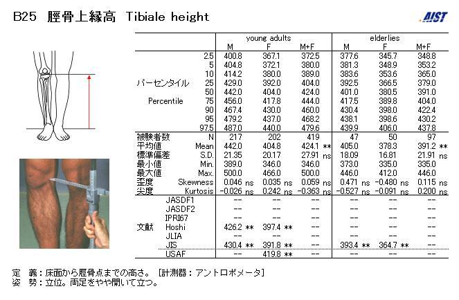 小腿长 快懂百科