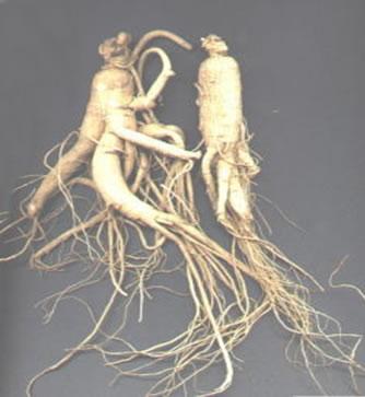 人参核桃饮 快懂百科