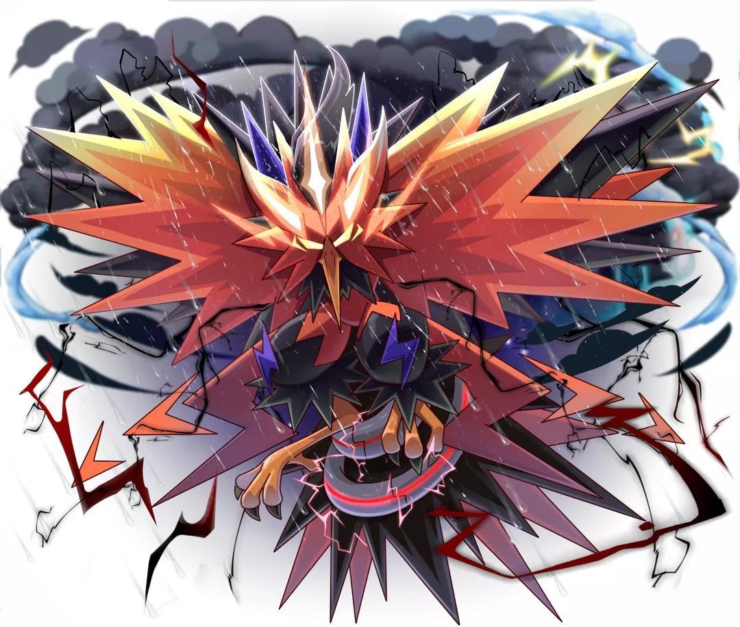 闪电鸟 快懂百科