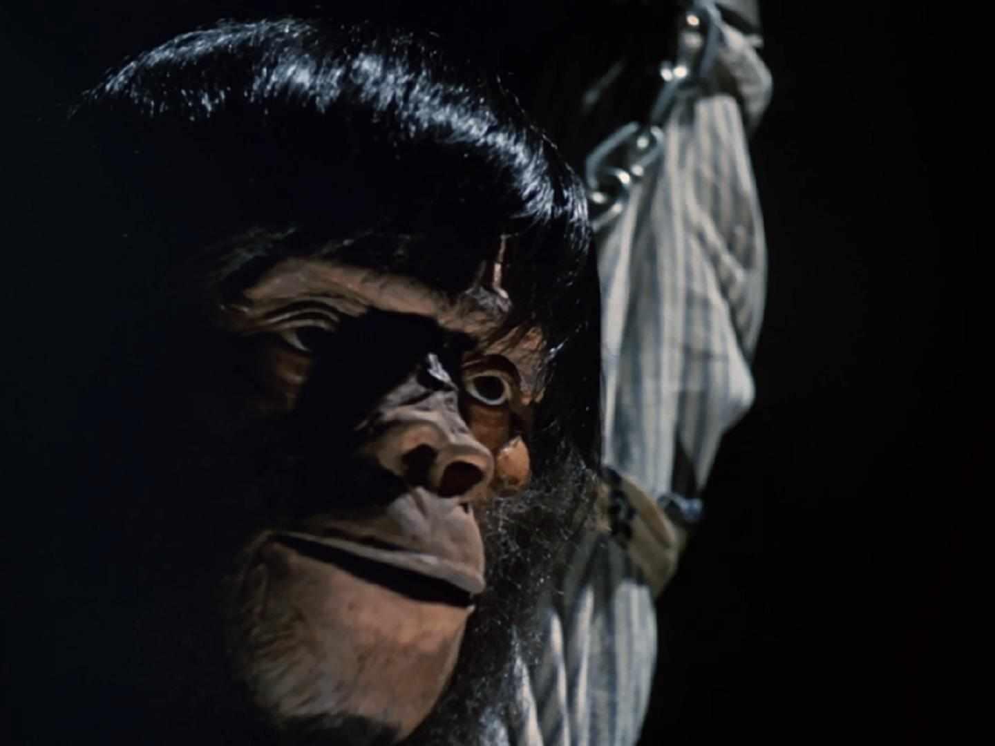 猿人戈利 角色设定 角色能力 角色经历 历史版本3 头条百科