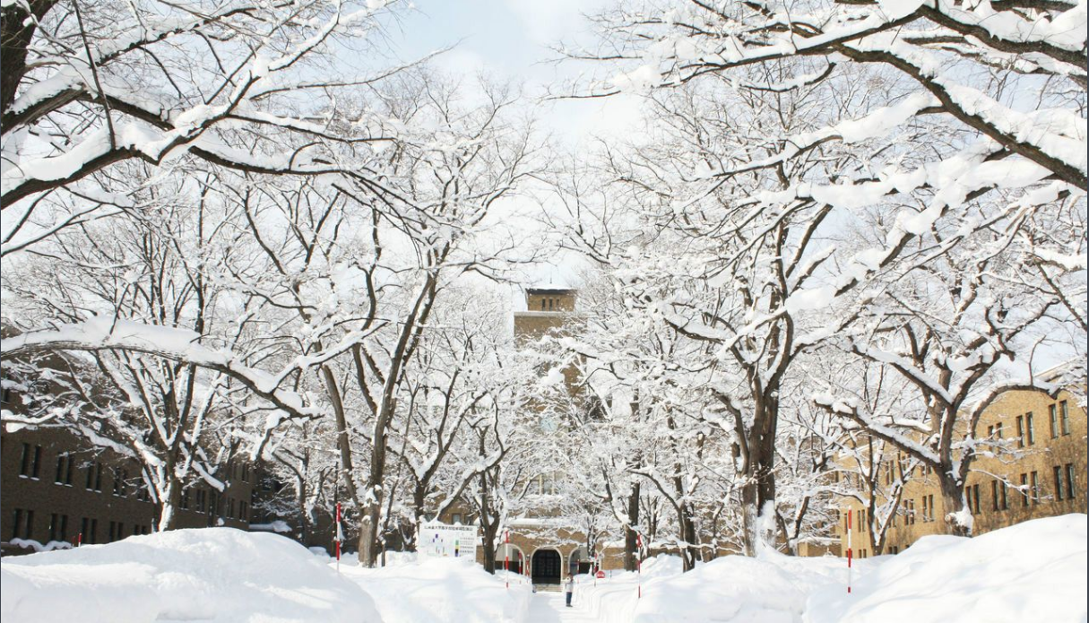 北海道药科大学 快懂百科