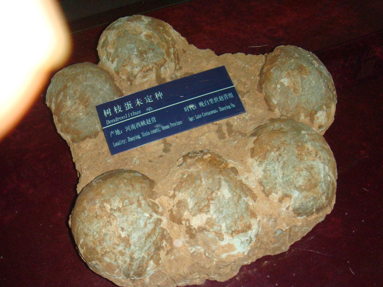 伏牛山国家级自然保护区 快懂百科