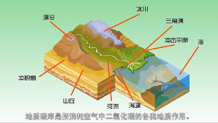 碳库 - 快懂百科