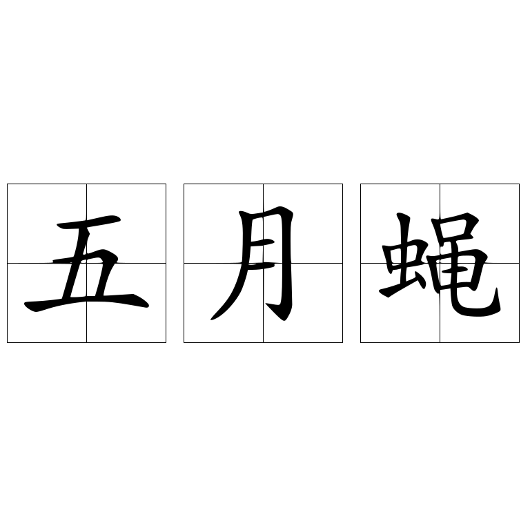 五月蝇 快懂百科