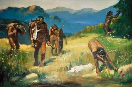 晚期猿人 快懂百科