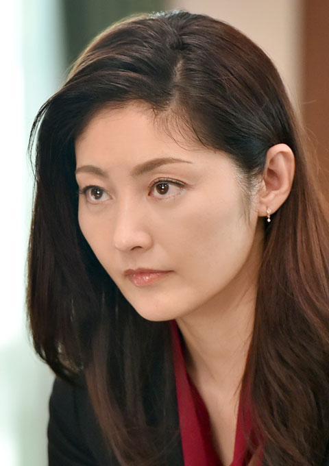 The Good Wife 快懂百科