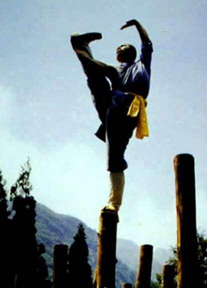 少林梅花桩 快懂百科