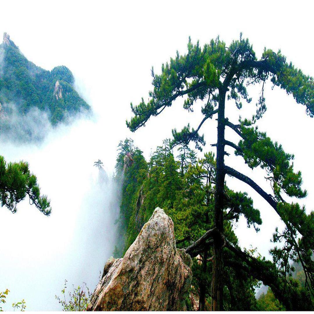 尧山 河南省鲁山县尧山 头条百科