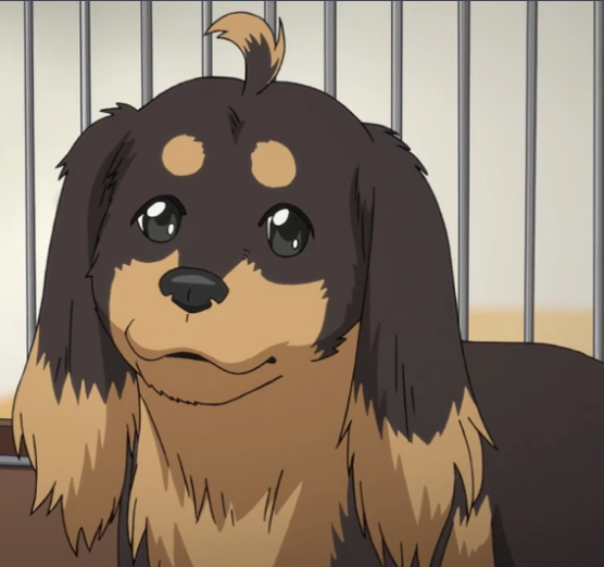 春海和人 春海和人 头条百科