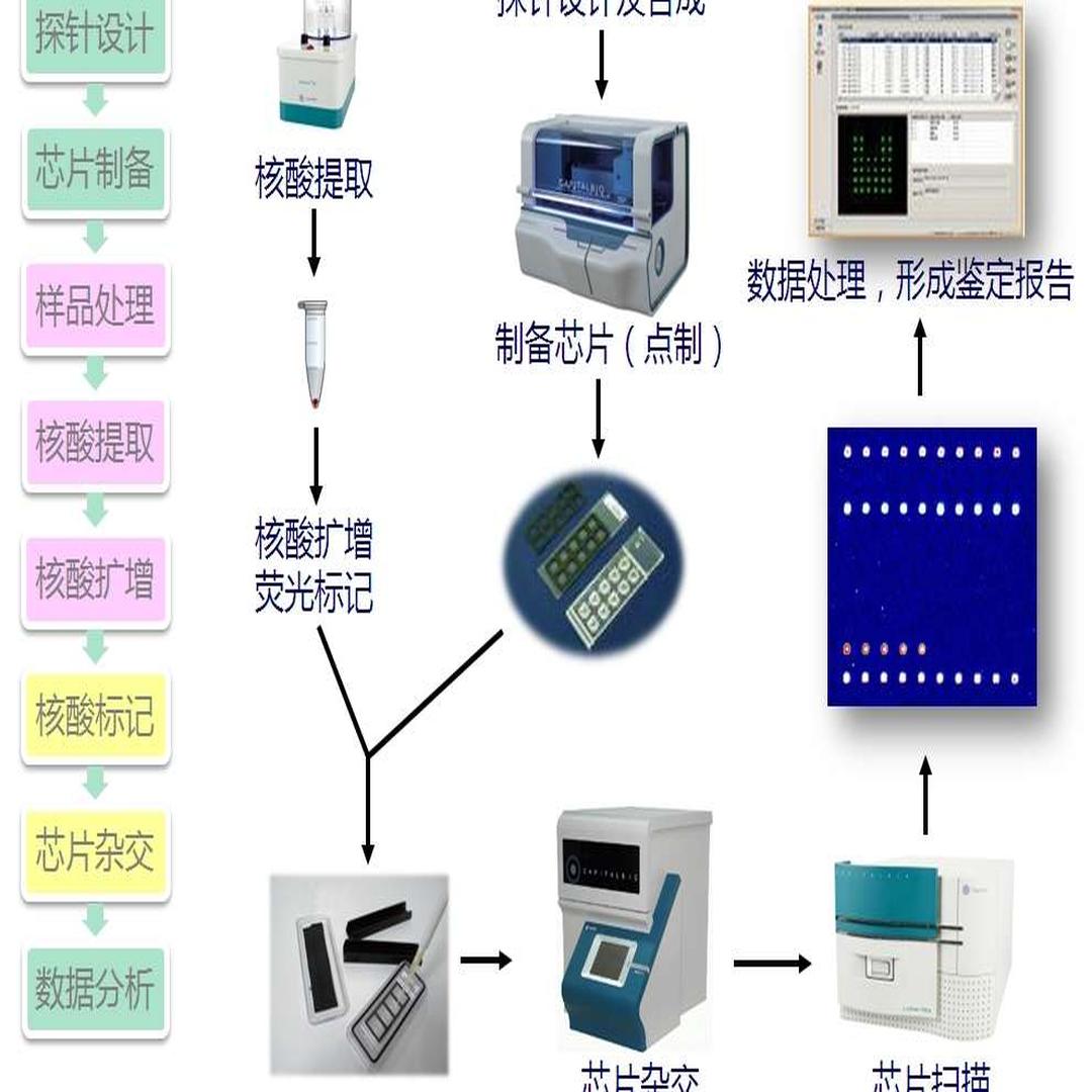 基因鉴定技术 头条百科