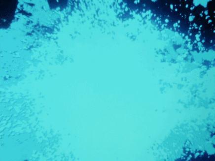 雷欧 奥特曼 快懂百科