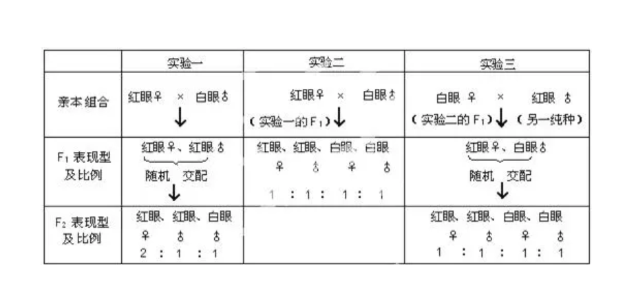 遗传学三大基本定律 快懂百科