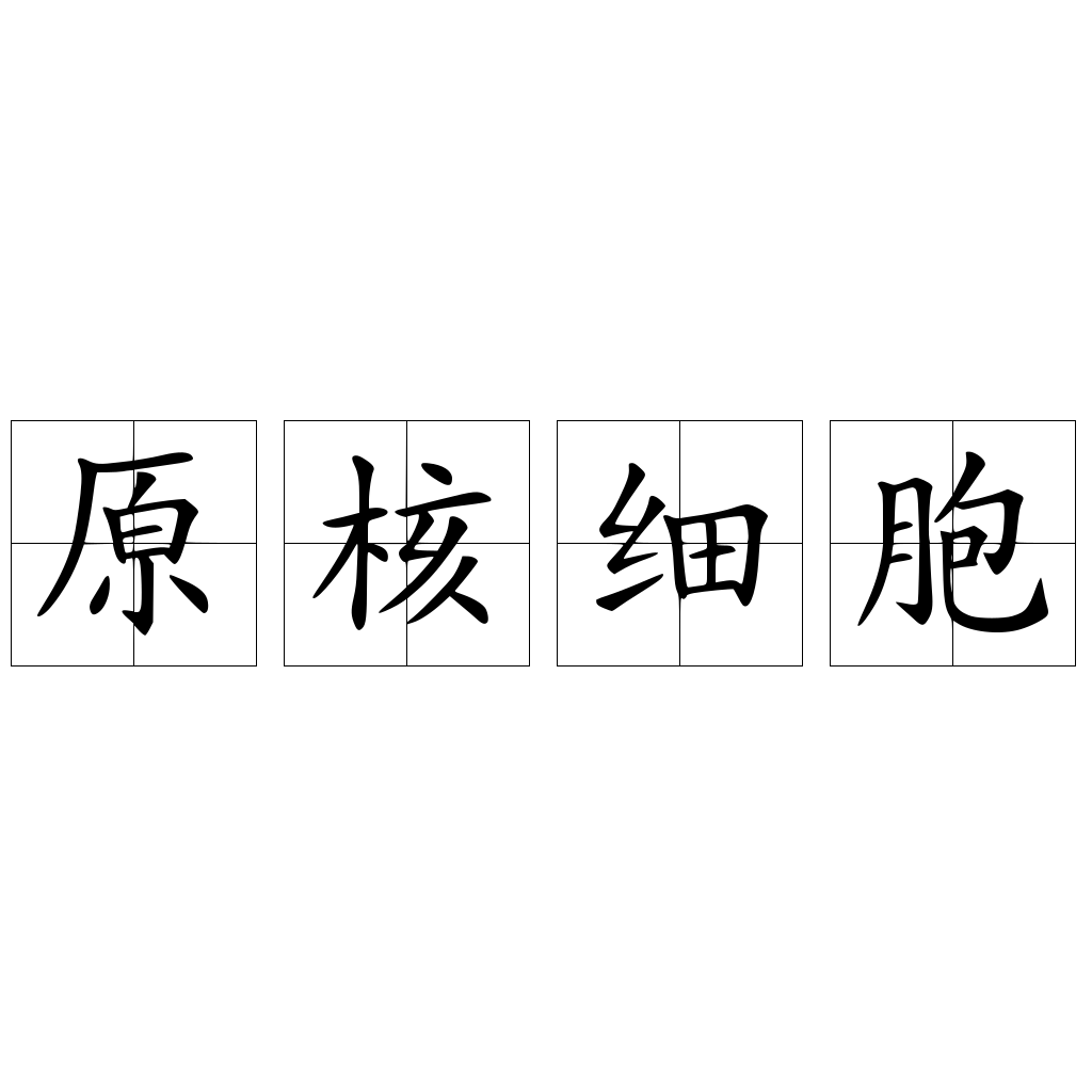 原核细胞 快懂百科