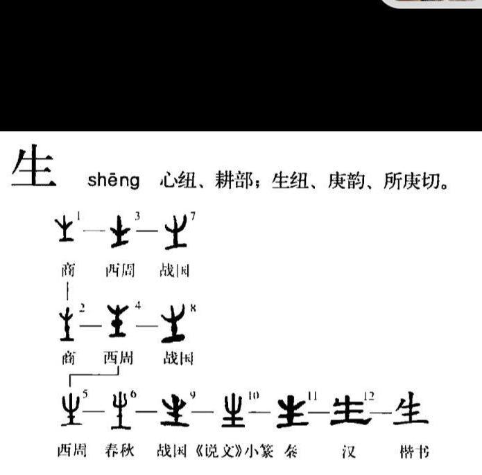 生 快懂百科