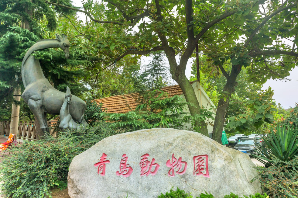 廈門中山公園動物園(廈門中山公園動物園作文400字)-樂途旅遊網