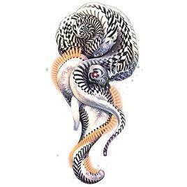 百科资源 快懂百科