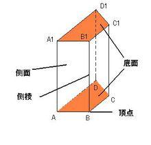 四棱柱 快懂百科