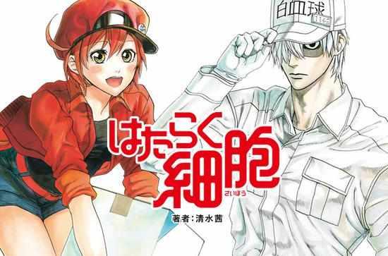 工作细胞 清水茜著作的漫画 作品背景 故事内容 登场角色 历史版本2 头条百科