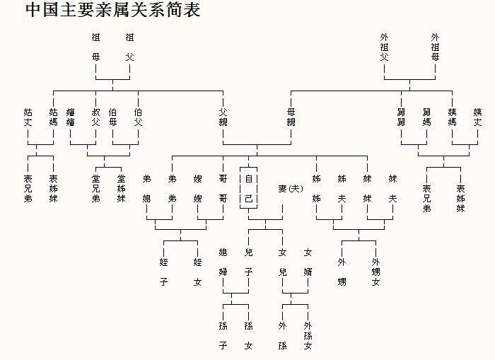 中国亲属系统 快懂百科