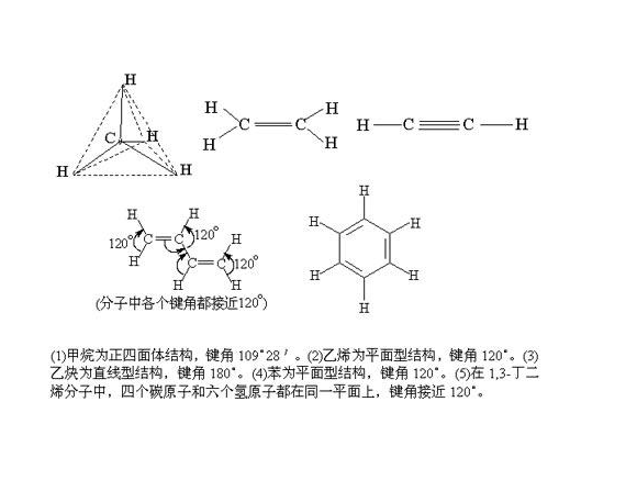 有机分子 快懂百科