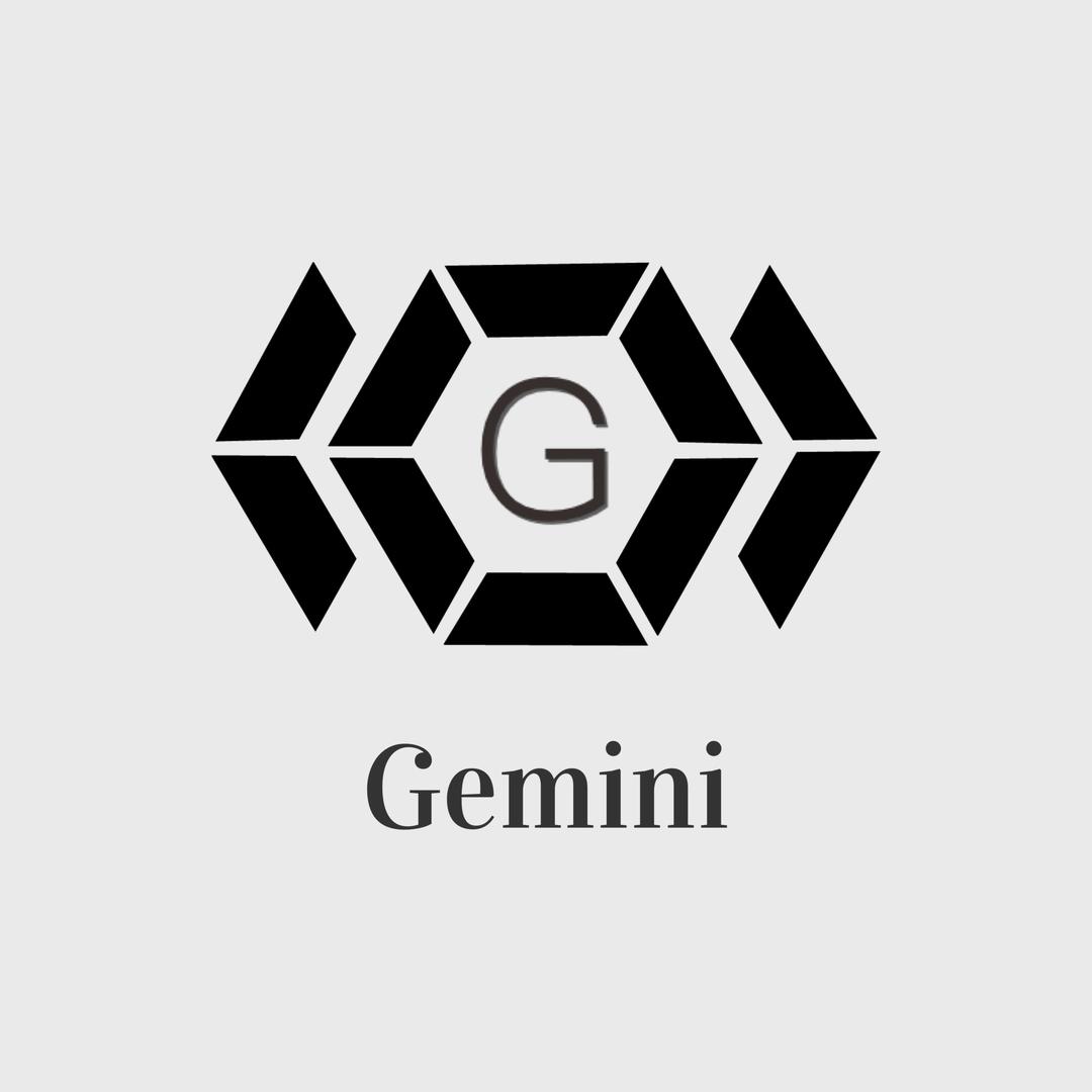gemini组合