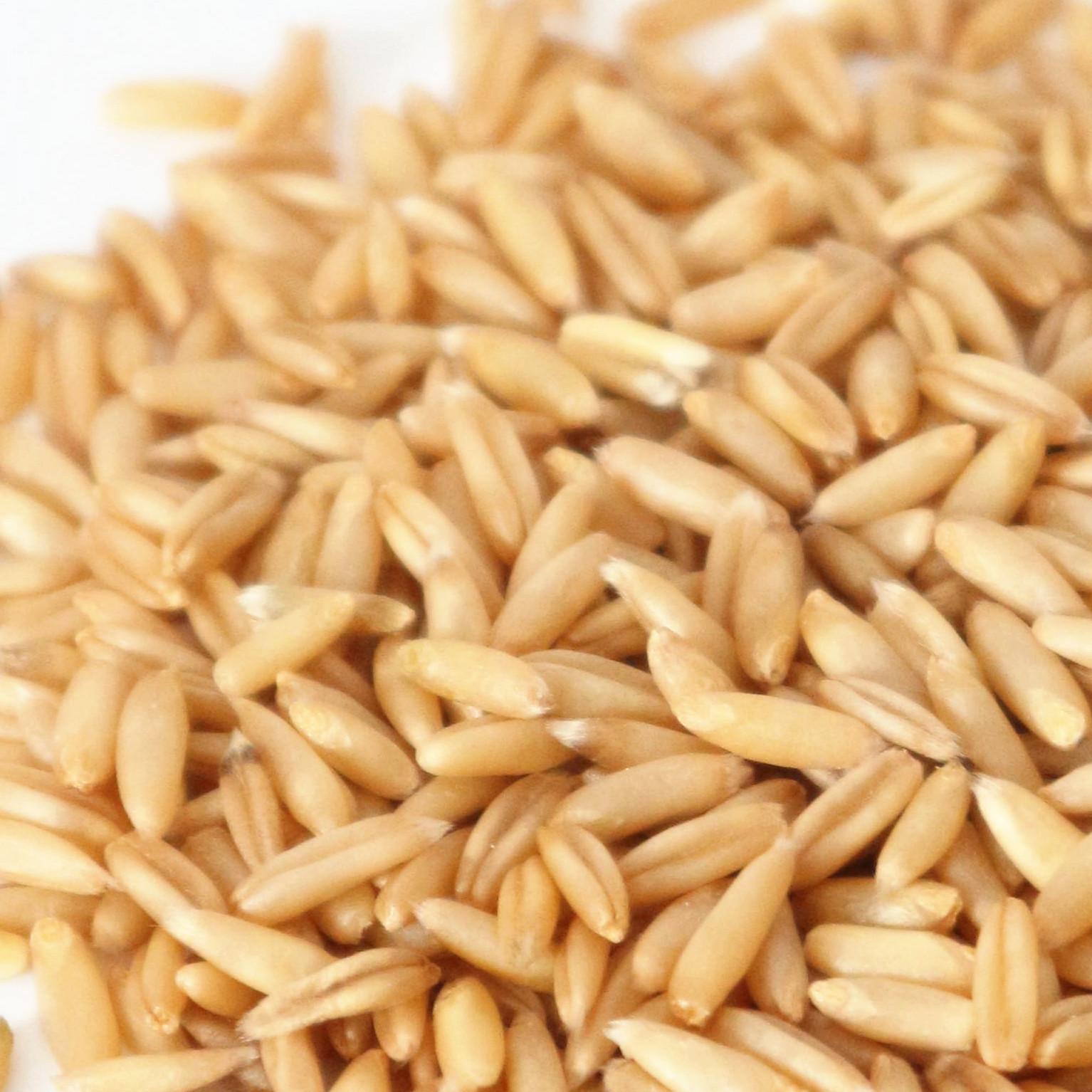 燕麦是粗粮吗，常吃燕麦有哪些中医功效呢？ - 知乎