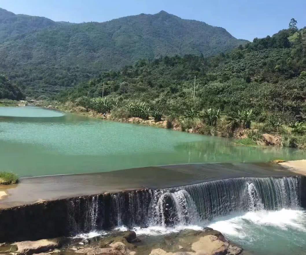 林业科技参考文献怎么写中南林业科技大学生态学前景如何