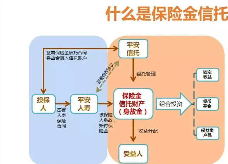 保险金信托 快懂百科