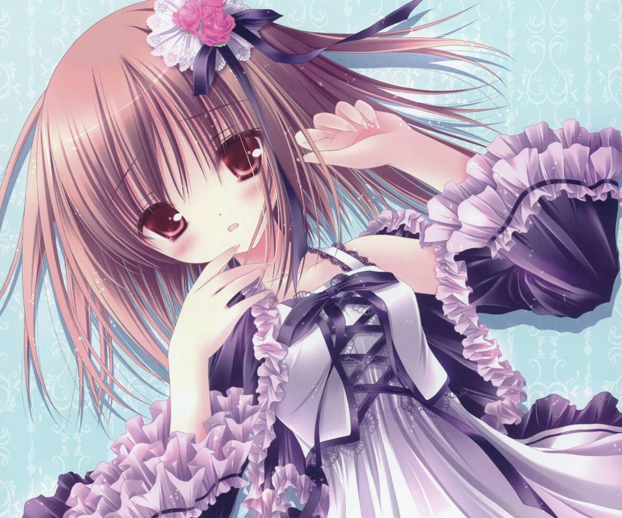 萝球社 快懂百科