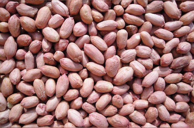 花生 豆科落花生属植物 头条百科