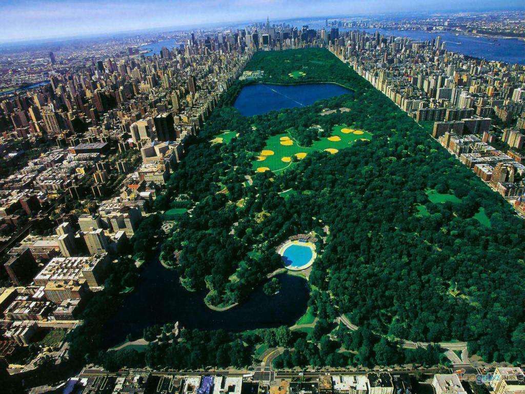 2020中央公园-旅游攻略-门票-地址-问答-游记点评，纽约旅游旅游景点推荐-去哪儿攻略