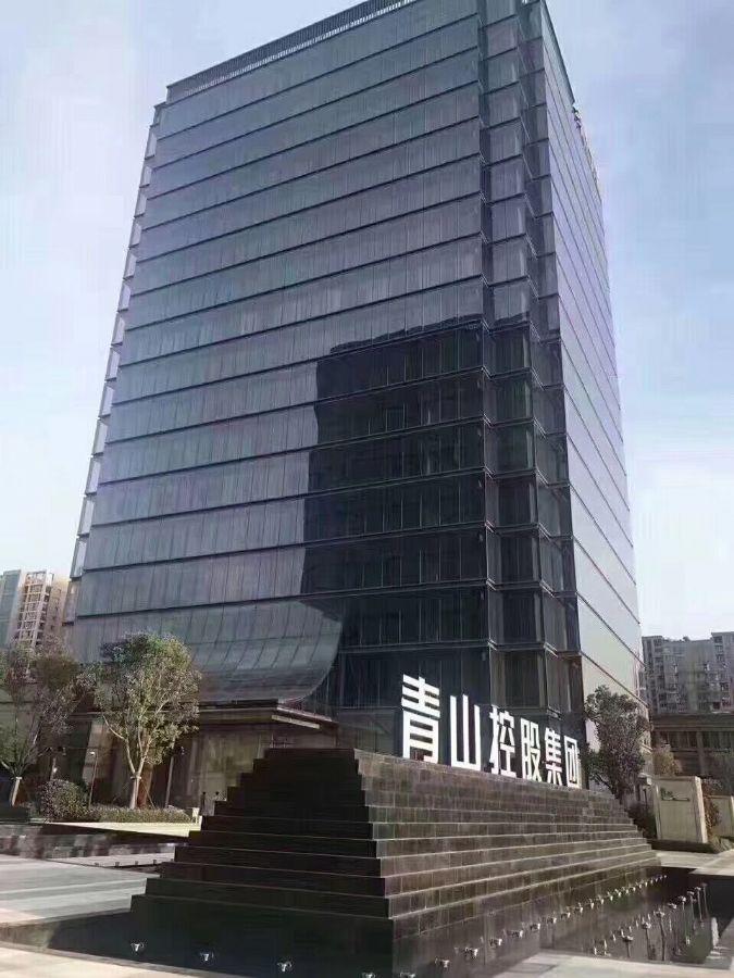 青山控股集团有限公司