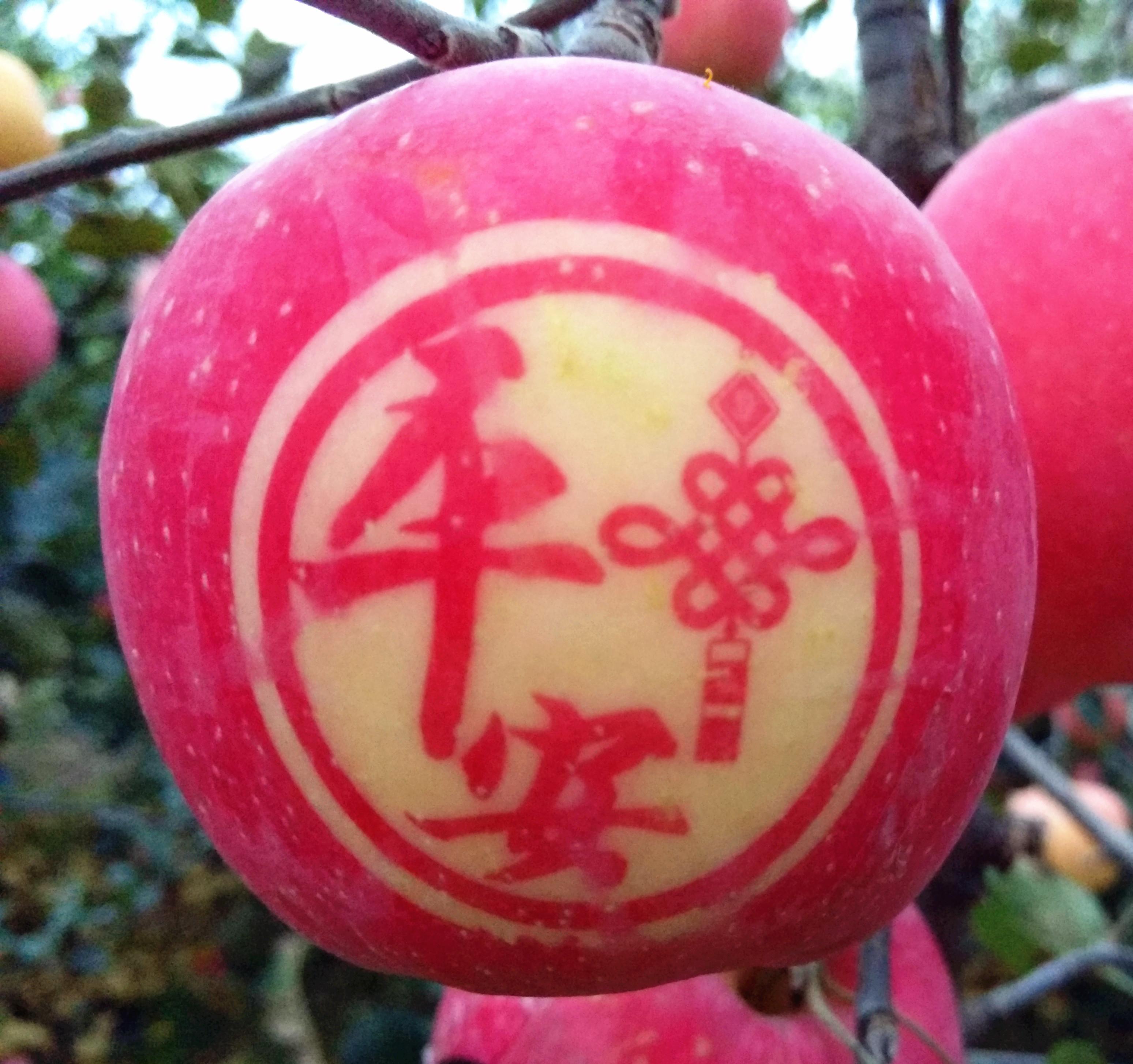 贴字苹果 快懂百科