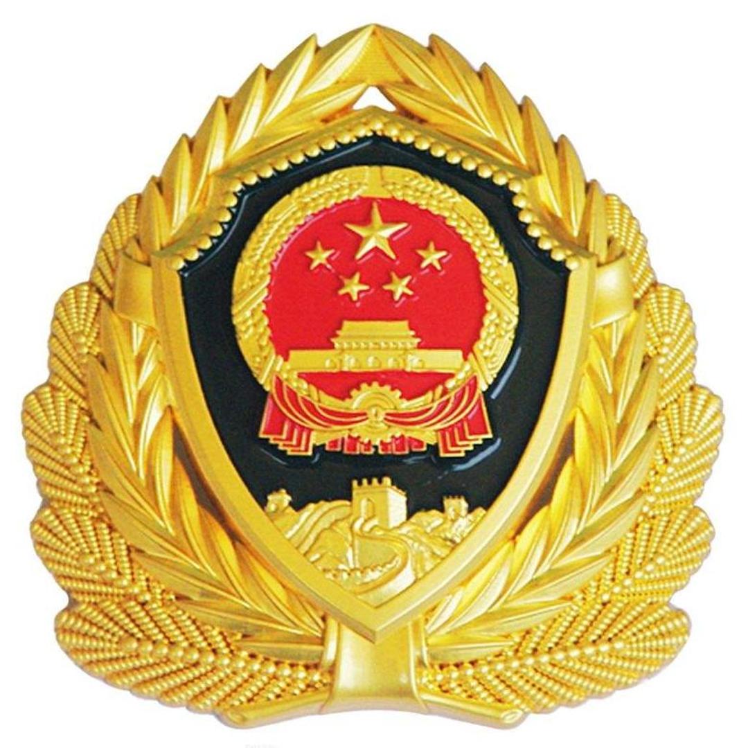 武警部队徽章图片