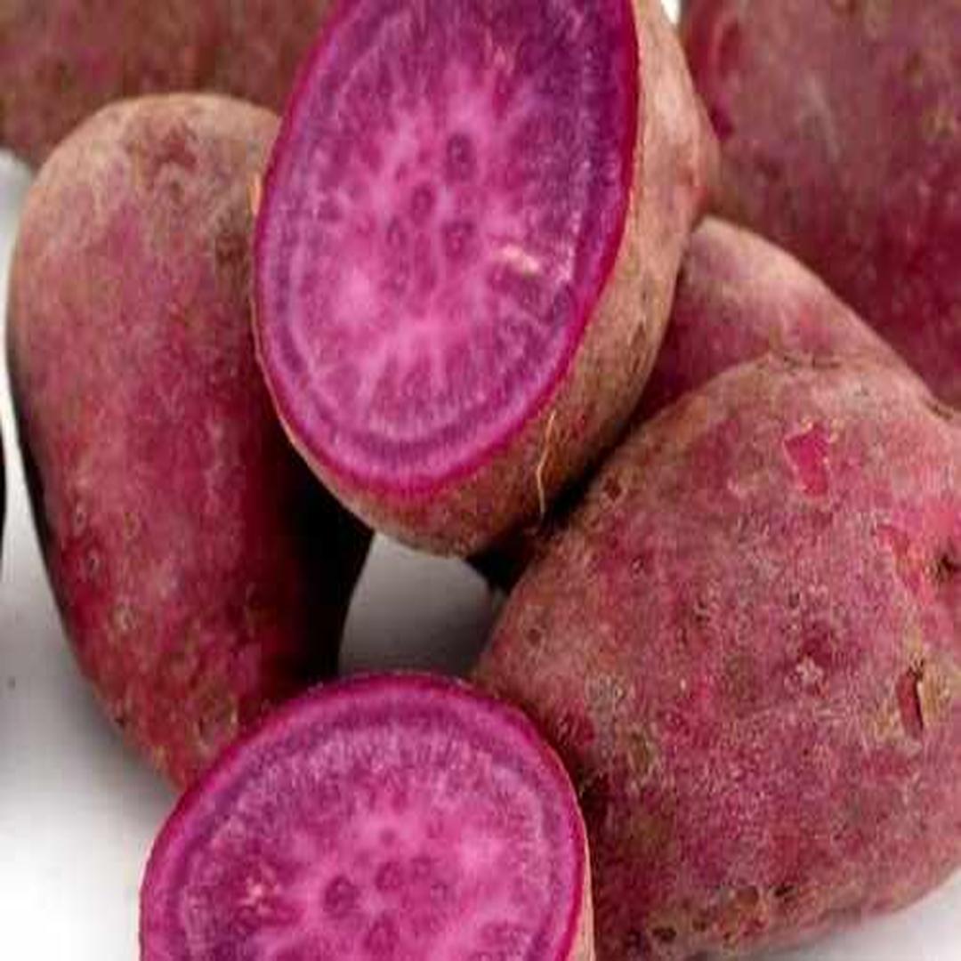 紫山芋 头条百科