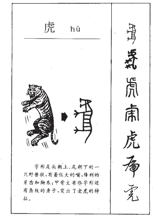 虎笔顺 头条百科